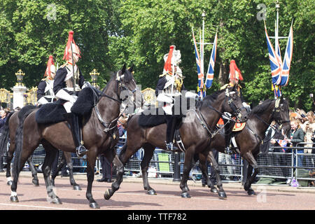 Blues und Royals des Household Cavalry für die Farbe 2019 Stockfoto