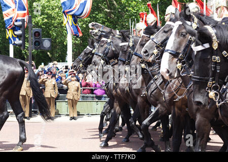 Blues und Royals des Household Cavalry für die Farbe 2019 Stockfoto