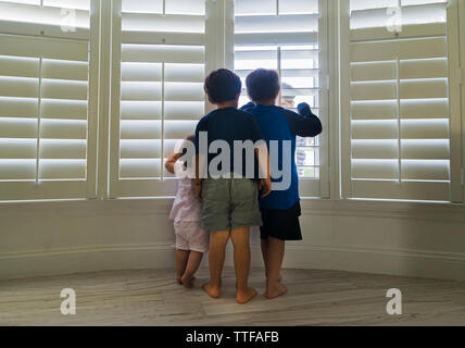 Blick durch Fenster-Vorhänge zu Hause Geschwister Stockfoto