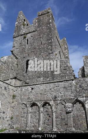 Die Ruinen der mittelalterlichen Fore Benediktinerabtei, als der Ort der Sieben Weltwunder, Fore, County Westmeath, Irland bekannt Stockfoto