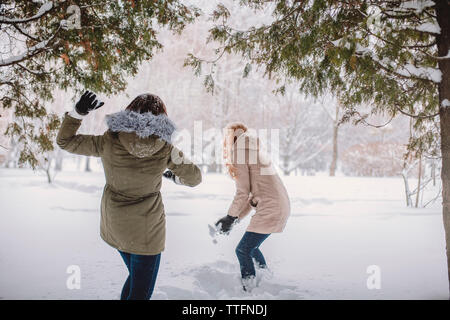 Ansicht der Rückseite des verspielten Frau werfen Schnee auf Frau im Park Stockfoto