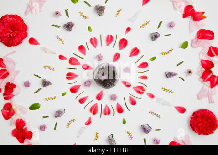 Ansicht von oben der Blütenblätter auf weißem Hintergrund eingerichtet Stockfoto
