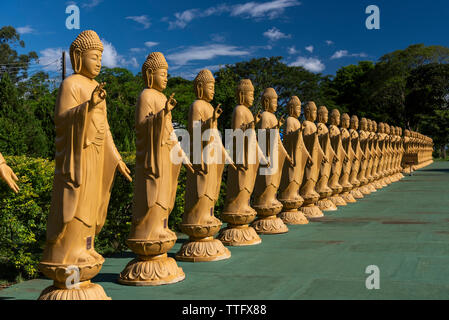 Buddha Statuen aufgereiht auf buddhistischen Tempel Chen Tien Stockfoto