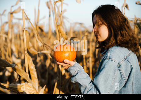 Portrait von Frau mit Kürbis mitten in einem Maisfeld Stockfoto