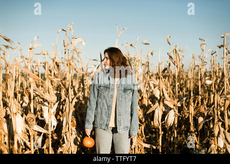 Portrait von Frau mit Kürbis mitten in einem Maisfeld Stockfoto