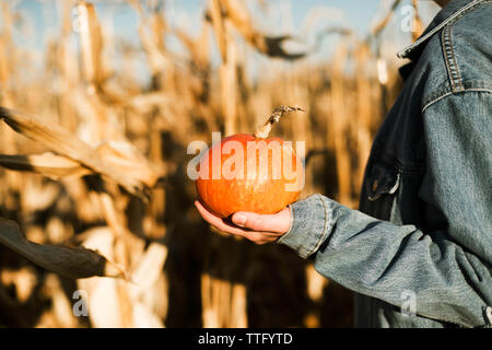 Portrait von Frau mit Kürbis mitten in einem Maisfeld Stockfoto