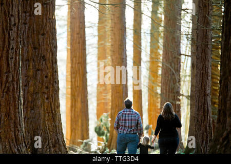 Familie von drei bis Suchen in Ehrfurcht vor den Wald Stockfoto