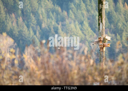 Bird's Nest Kisten zu Stapeln auf Harrison Fluss verbunden ist. Stockfoto