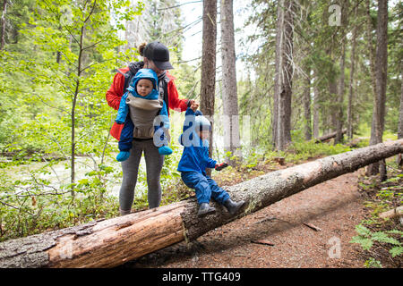 Mutter Wanderungen durch den Wald mit ihr zwei Kinder. Stockfoto