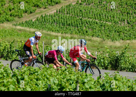 Ein Radrennen in den Weinbergen von Brouilly und Mont Brouilly, zwei Beaujolais Jahrgänge. Eine zweitägige Rennen, das die Weinregion Beaujolais Kreuze Stockfoto