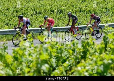 Ein Radrennen in den Weinbergen von Brouilly und Mont Brouilly, zwei Beaujolais Jahrgänge. Eine zweitägige Rennen, das die Weinregion Beaujolais Kreuze Stockfoto