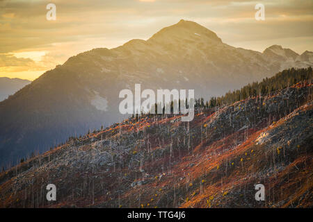 Herbst Farben beleuchtet durch Alpenglühen auf zuvor verbrannten Berg. Stockfoto