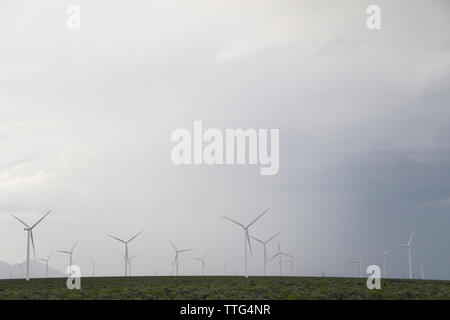 Ruhige Aussicht von Windenergieanlagen auf Feld gegen bewölkter Himmel Stockfoto