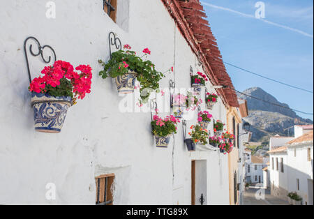 Alfarnatejo, weißes Dorf auf dem Hügel von Malaga in den Bergen, Andalus Stockfoto