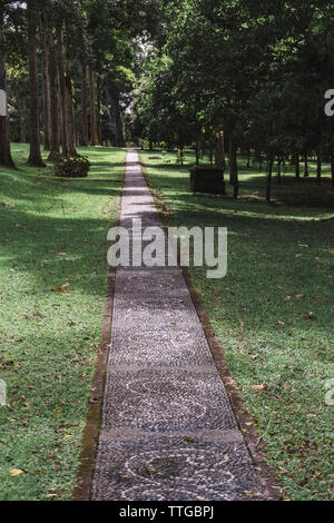 Blick auf die Gasse im Tropical Park Stockfoto