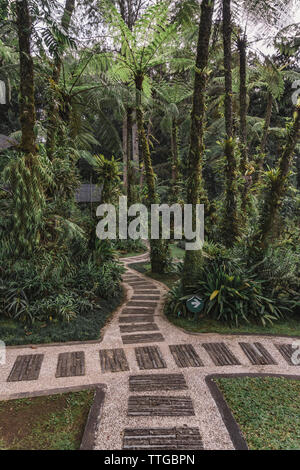 Blick auf die Gasse im Tropical Park Stockfoto