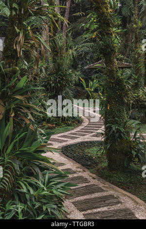 Blick auf die Gasse im Tropical Park Stockfoto