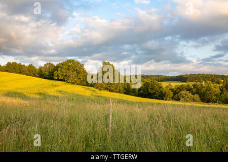 Wiesen in Niederschlesien, weiße Wolken Formationen auf blauen Himmel. Polnische Landschaft und Landwirtschaft. Stockfoto