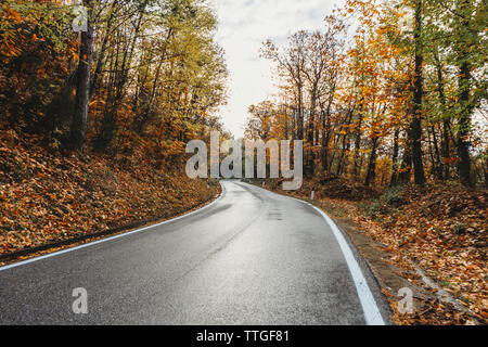 Asphaltierte Straße, die durch die gelben Wald in der Toskana, Herbst Stockfoto