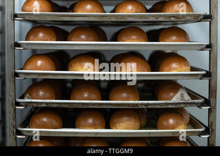 Frisch gebackene Brötchen sitzen auf einem Rack nach den aus dem Ofen Stockfoto