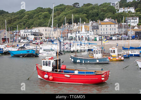 Angeln und Boote im Hafen von Lyme Regis, Dorset, England, Großbritannien Stockfoto