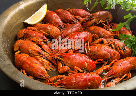 Close-up gekochte Flusskrebse im Kochen utensil Stockfoto