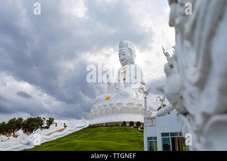 Wat Huay Pla Kang Tempel (Tempel) Chiang Rai, Thailand Stockfoto