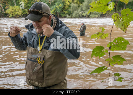 Angeln für König Lachs auf dem Sheboygan Fluss Fliegen Stockfoto