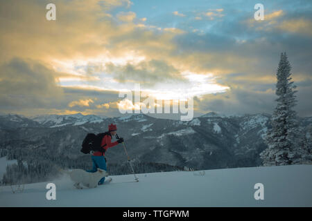 Seitenansicht der Mann mit Hund Skifahren auf Schnee bedeckt Feld Stockfoto