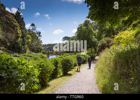 Menschen zu Fuß über einen Fußweg in den subtropischen Trebah Garten in Cornwall. Stockfoto