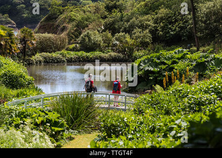 Besucher tragen helle rote Kleidung zu Fuß über eine hölzerne Brücke in den subtropischen Trebah Garten in Cornwall. Stockfoto