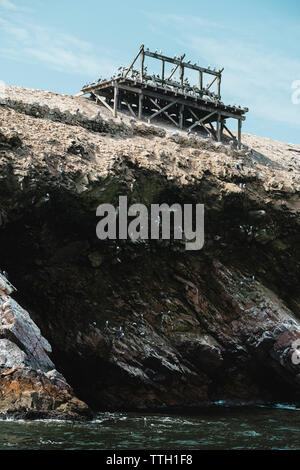 Vögel stehen auf verlassenen Pier am Rand der Klippe, Islas Ballestas, Peru Stockfoto