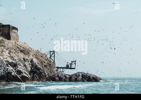 Vögel fliegen über verlassenen Pier im Islas Ballestas, Paracas, Peru Stockfoto