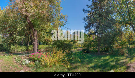 Bäume im Alten Botanischen Garten in Odessa, Ukraine, auf einem sonnigen Herbst Stockfoto