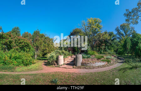 Bäume im Alten Botanischen Garten in Odessa, Ukraine, auf einem sonnigen Herbst Stockfoto