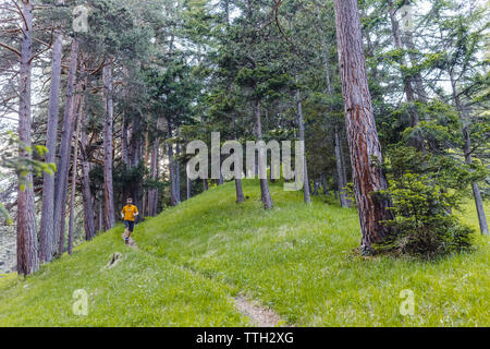 Gesamte Länge der Mann läuft auf Trail im Wald Stockfoto