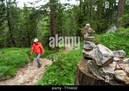 Junge Frau wandern auf einem Trail im Wald vorbei an einem Stein dwarve Stockfoto