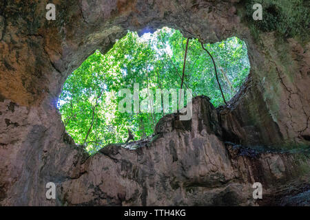 Blick aus einer Höhle in Los Haitises National Park Stockfoto