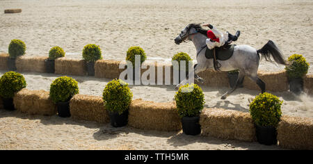 Osmanische Reiter in seiner ethnischen Kleidung auf seinem Pferd Reiten Stockfoto