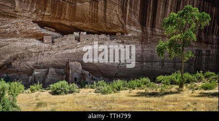 Weiße Haus Ruinen in Canyon de Chelly, Navajo Nation Stockfoto