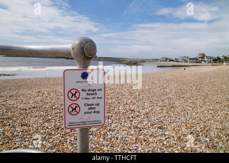 Sign on Lyme Regis Strand Hunde Einschränkung am Strand zwischen 1. Mai bis 30. September Stockfoto