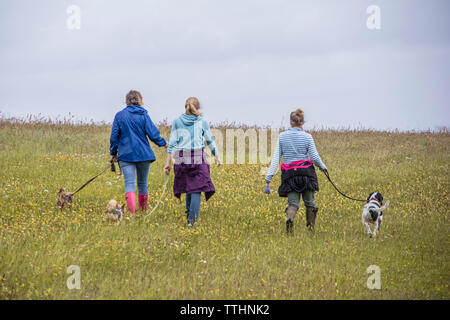 Meine Damen ihre Hunde wandern in der Natur, England, Großbritannien Stockfoto