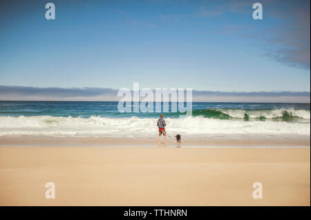 Ansicht der Rückseite des Mann mit Hund am Ufer gegen Sky Stockfoto