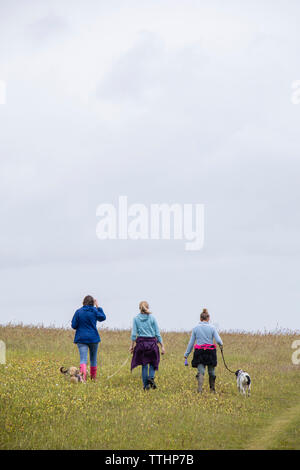 Meine Damen ihre Hunde wandern in der Natur, England, Großbritannien Stockfoto