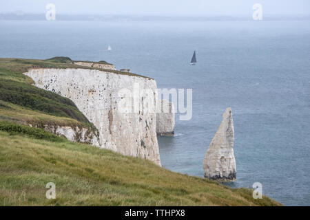 Die Pinnacles an Handfast Point, Isle of Purbeck, Jurassic Coast, einem UNESCO-Weltkulturerbe in Dorset, England, Großbritannien Stockfoto