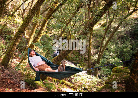 Mann auf der Hängematte im Wald Stockfoto