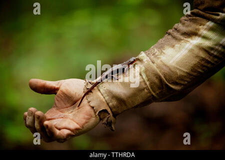 Zugeschnittenes Bild von Farmer's Hand mit Eidechse Stockfoto