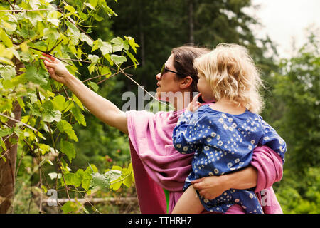 Frau Kommissionierung verlässt, während die Mädchen auf dem Feld Stockfoto