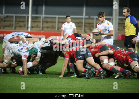 Exeter Scrum Hälfte wartet als Gloucester und Exeter Packs die Belastung am Kingsholm Stadion, Gloucester, Großbritannien Stockfoto