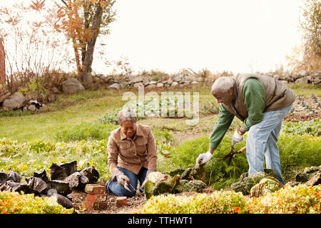 Paar Gartenarbeit in den Hinterhof gegen Sky Stockfoto